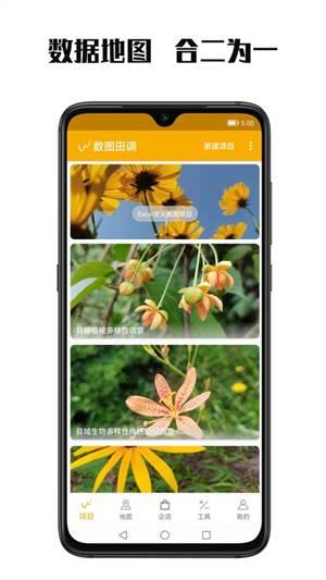 数图田调图4