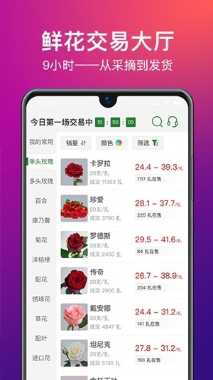花伍图2