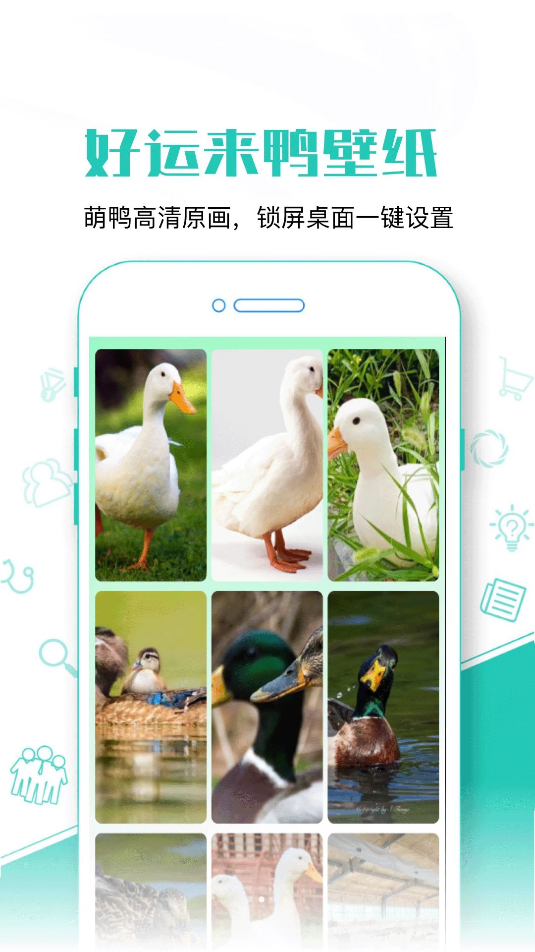 好运来鸭图2