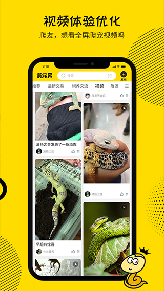 爬宠网图2