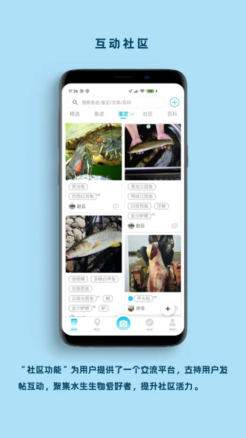 看鱼图4