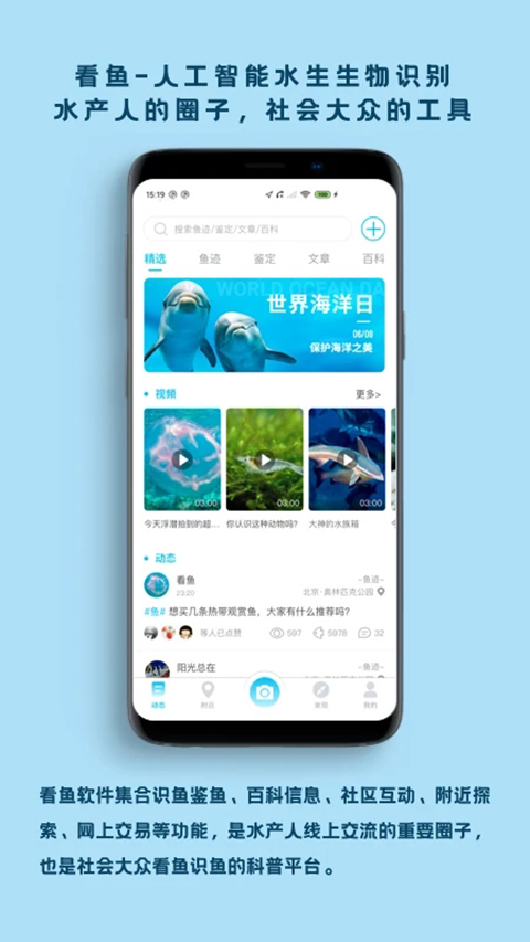看鱼图1