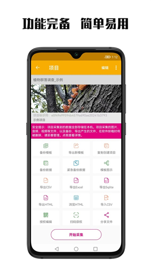 数图田调图2