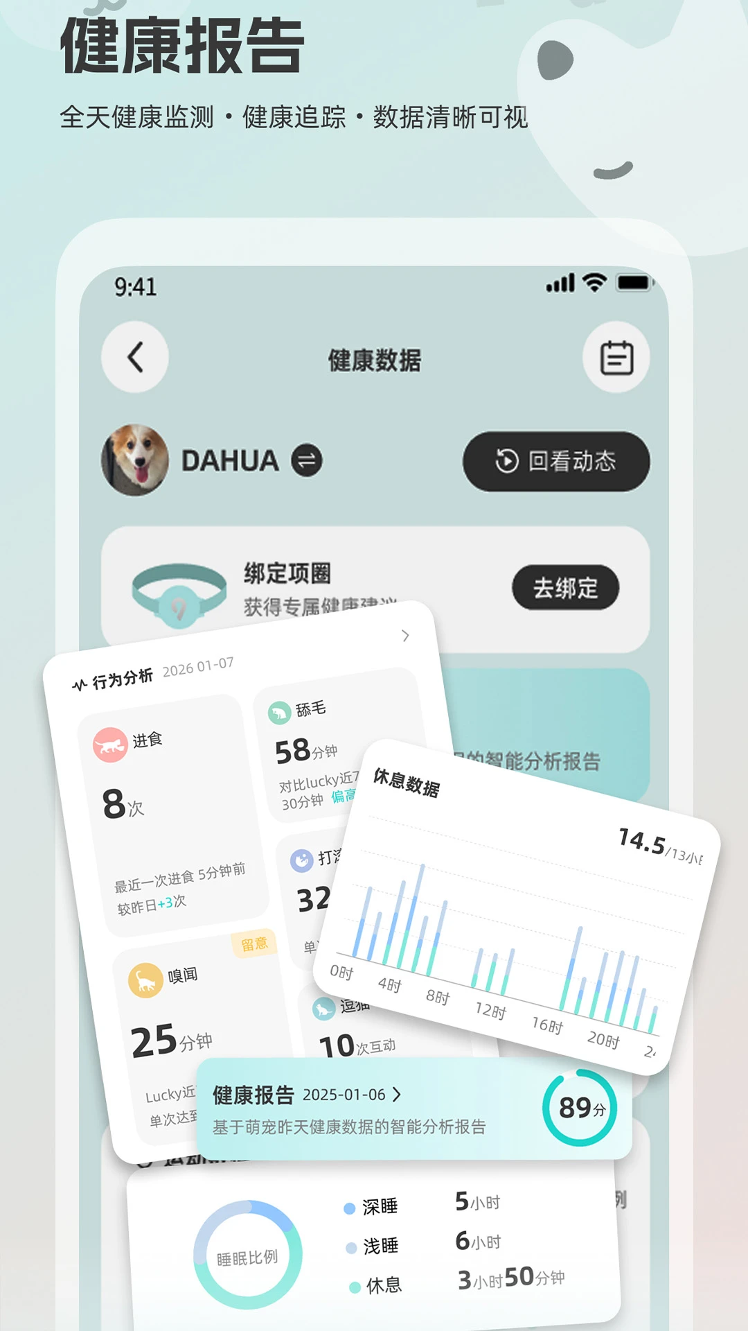 帕奇宠图2