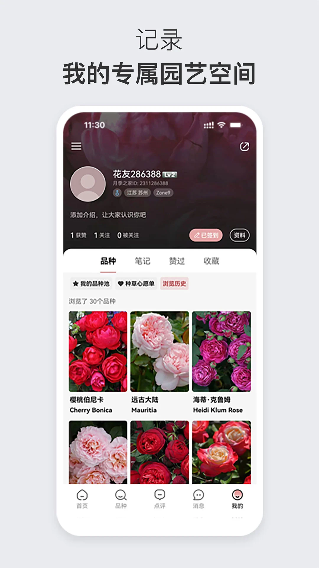 月季之家图5