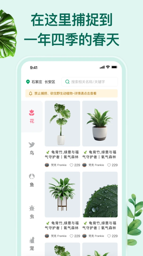 花鸟鱼虫图3