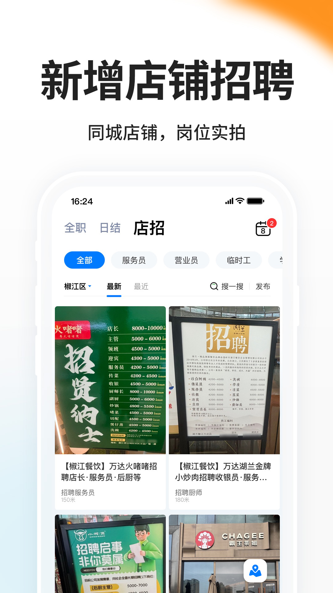 小白虾 小白虾