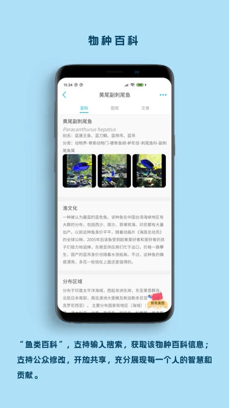看鱼图3